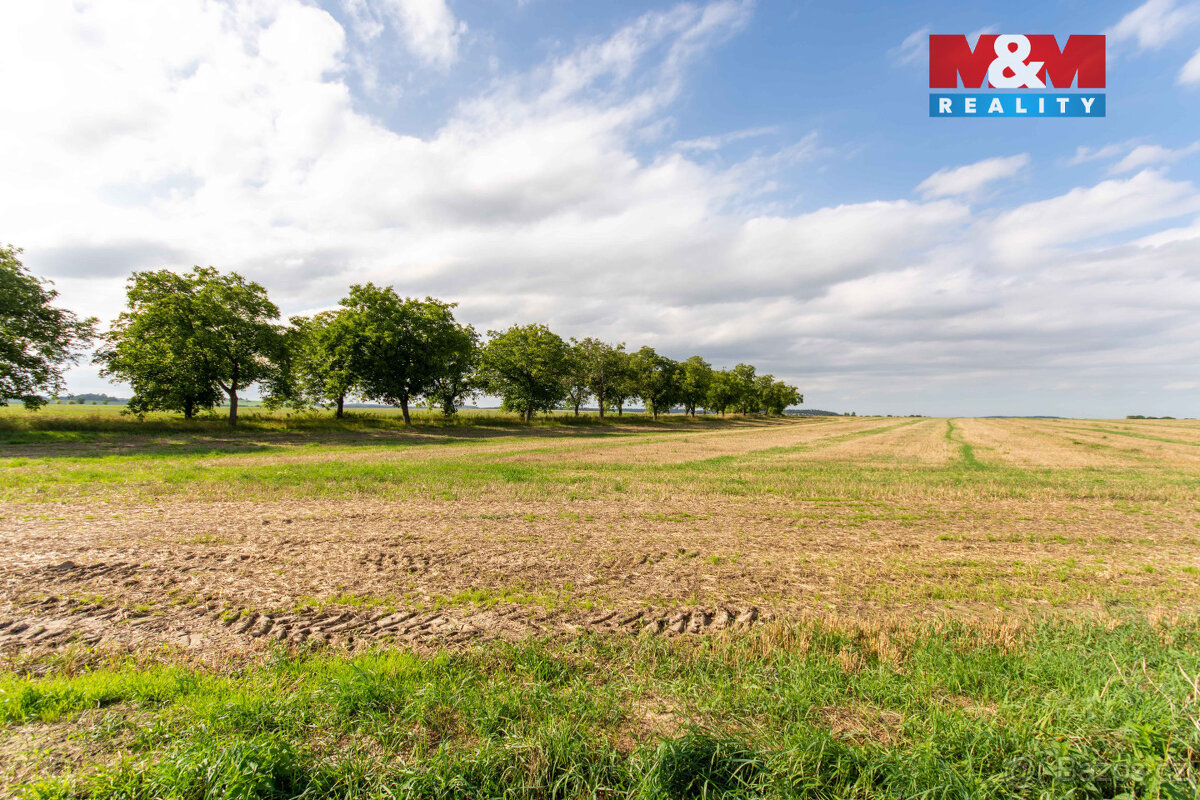 Prodej pozemku k bydlení, 1964 m², Brumovice - 2
