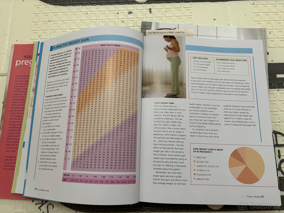 Your New Pregnancy Bible (anglicky) - 2
