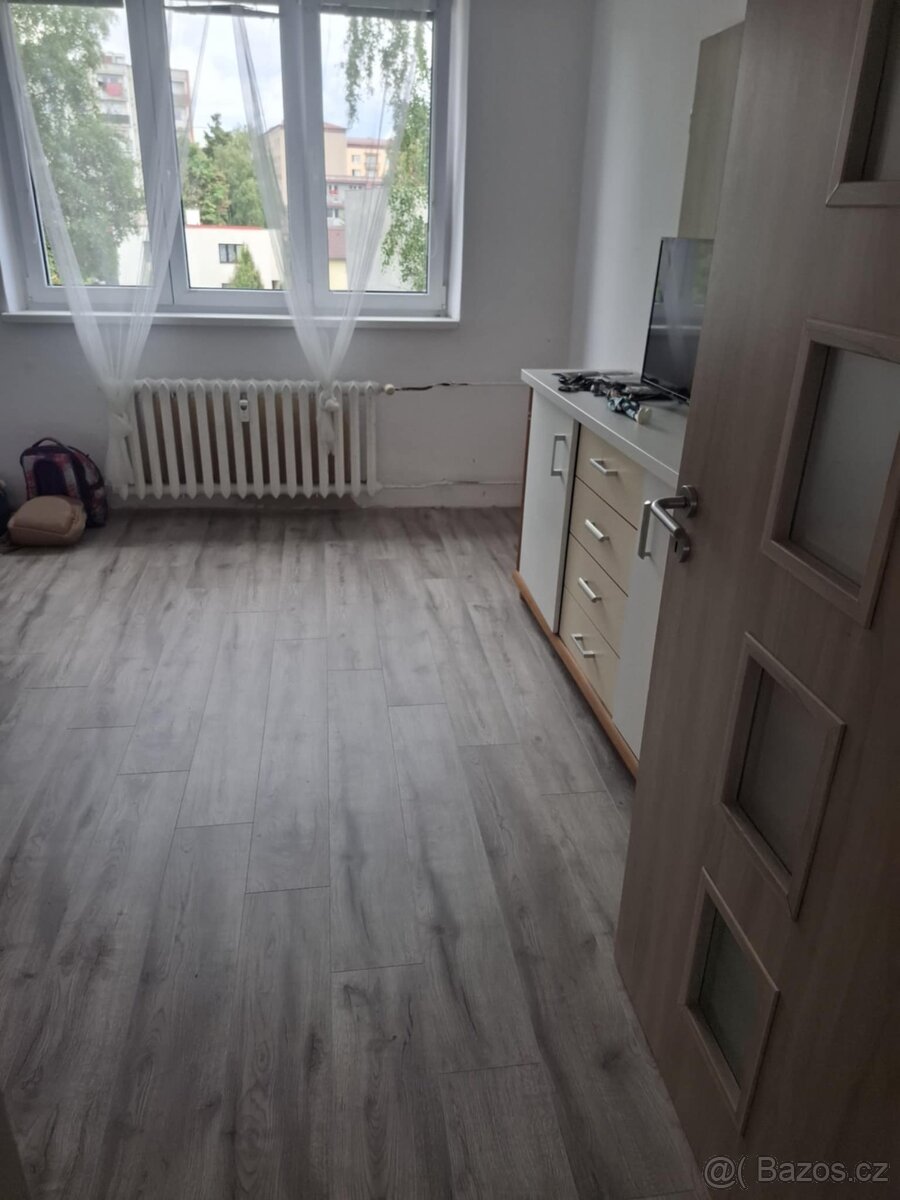 Pronajmu byt - 2
