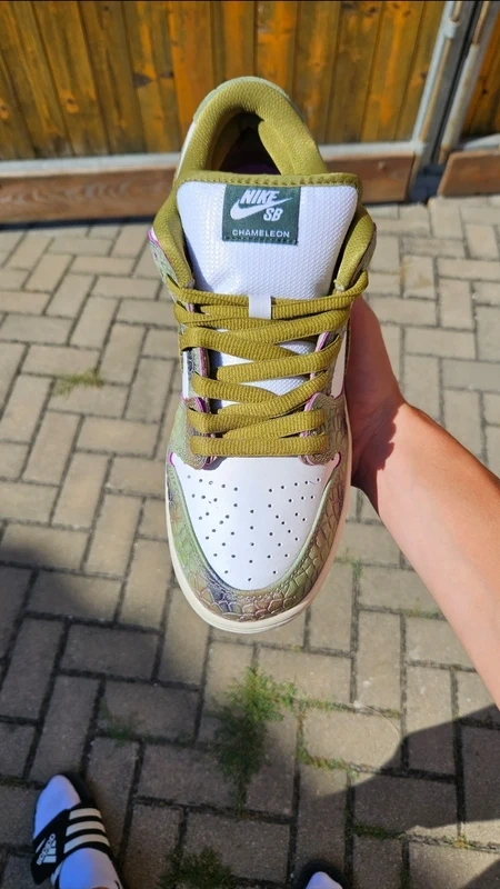 Nike SB dunk Alexis Salbone Chameleon - 2