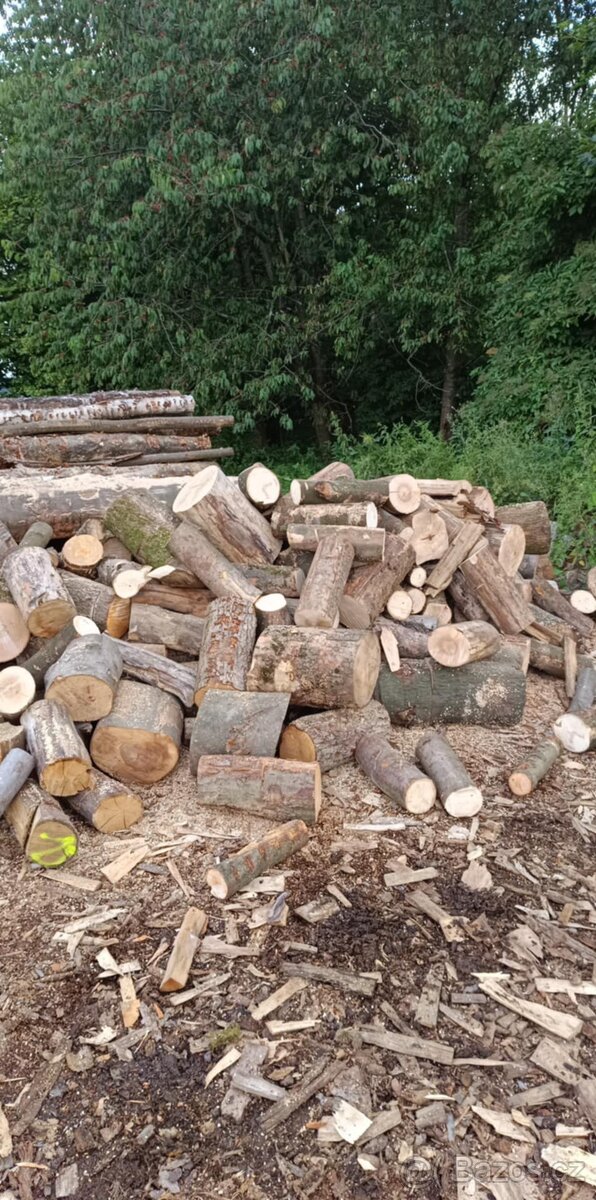 Dubové kůly a palivové dřevo - 2