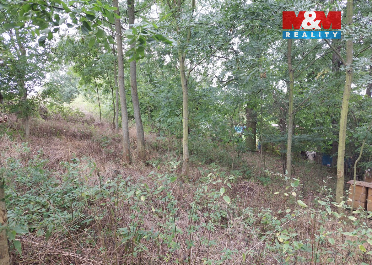 Prodej ovocného sadu, 163 m², Bystřice - 2