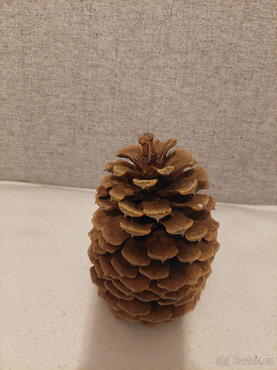 Šišky ke zdobení na Vánoce - 2