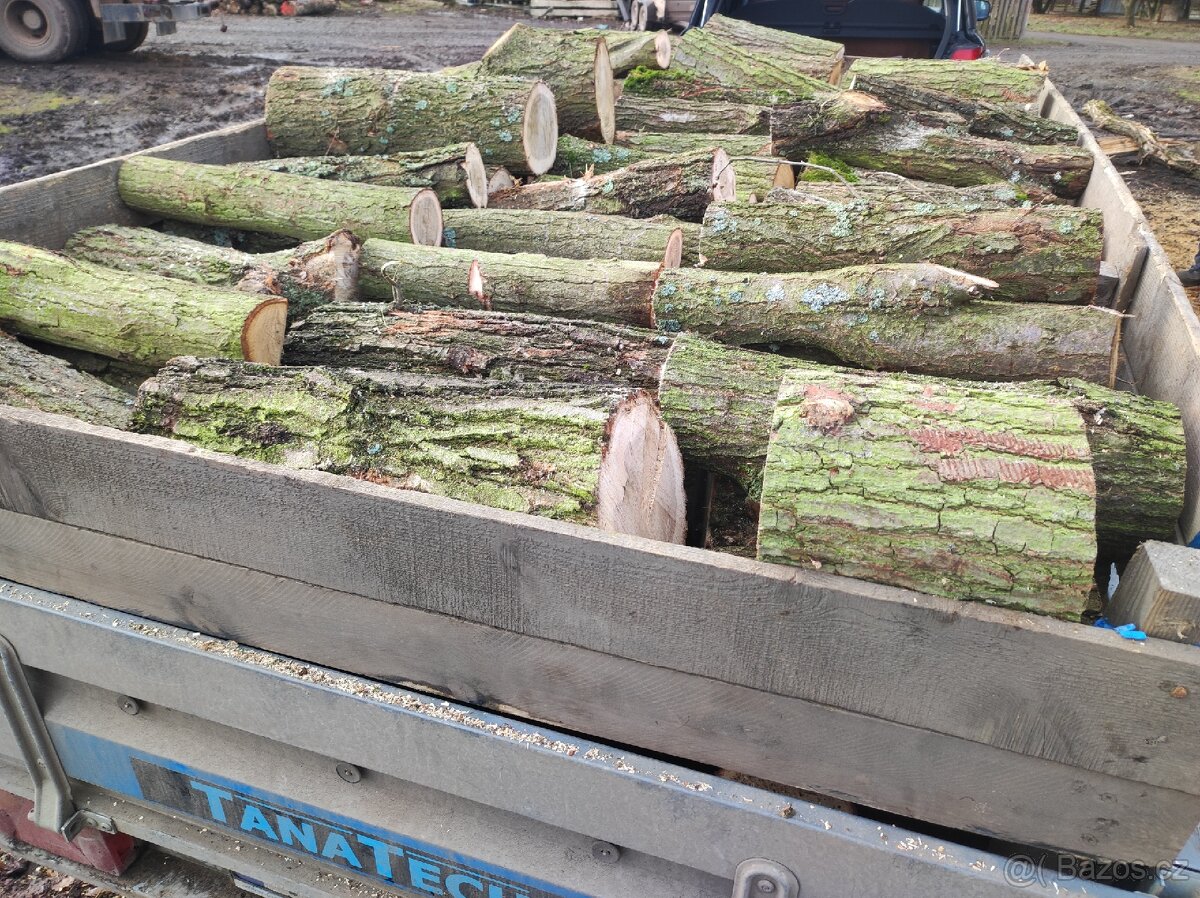 Levné palivové dřevo Žatec ( AKCE vše suché) - 2