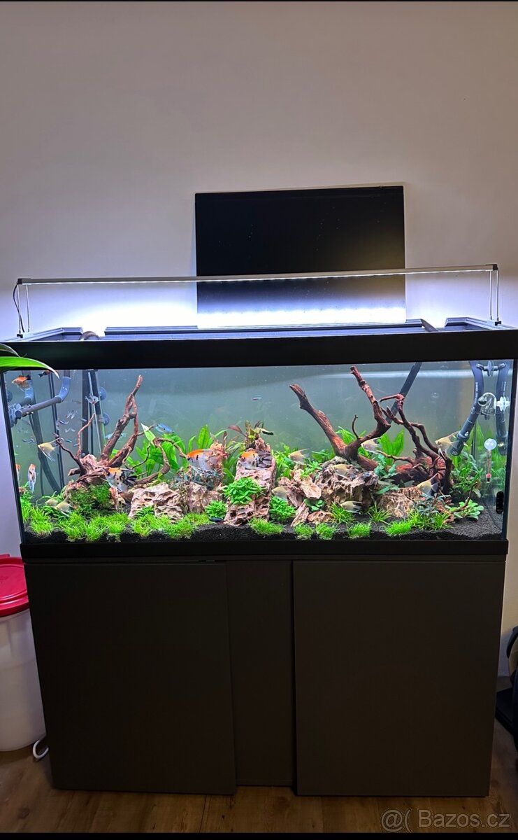Akvárko EHEIM 240l + filtr + co2 v záruce - 2