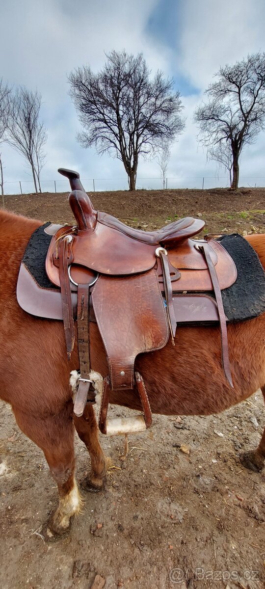 Westernove sedlo ( QH ) - 2