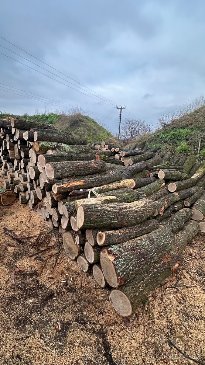 AKCE Palivové dřevo tvrdé metry - 2