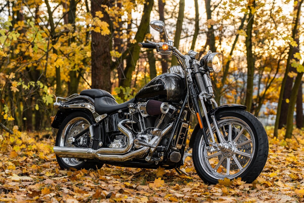 Harley - Davidson Springer CVO 110 - 2