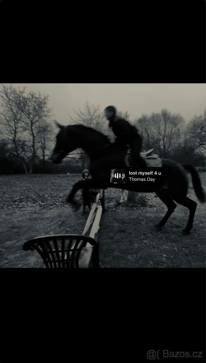 Poloviční pronájem - 2