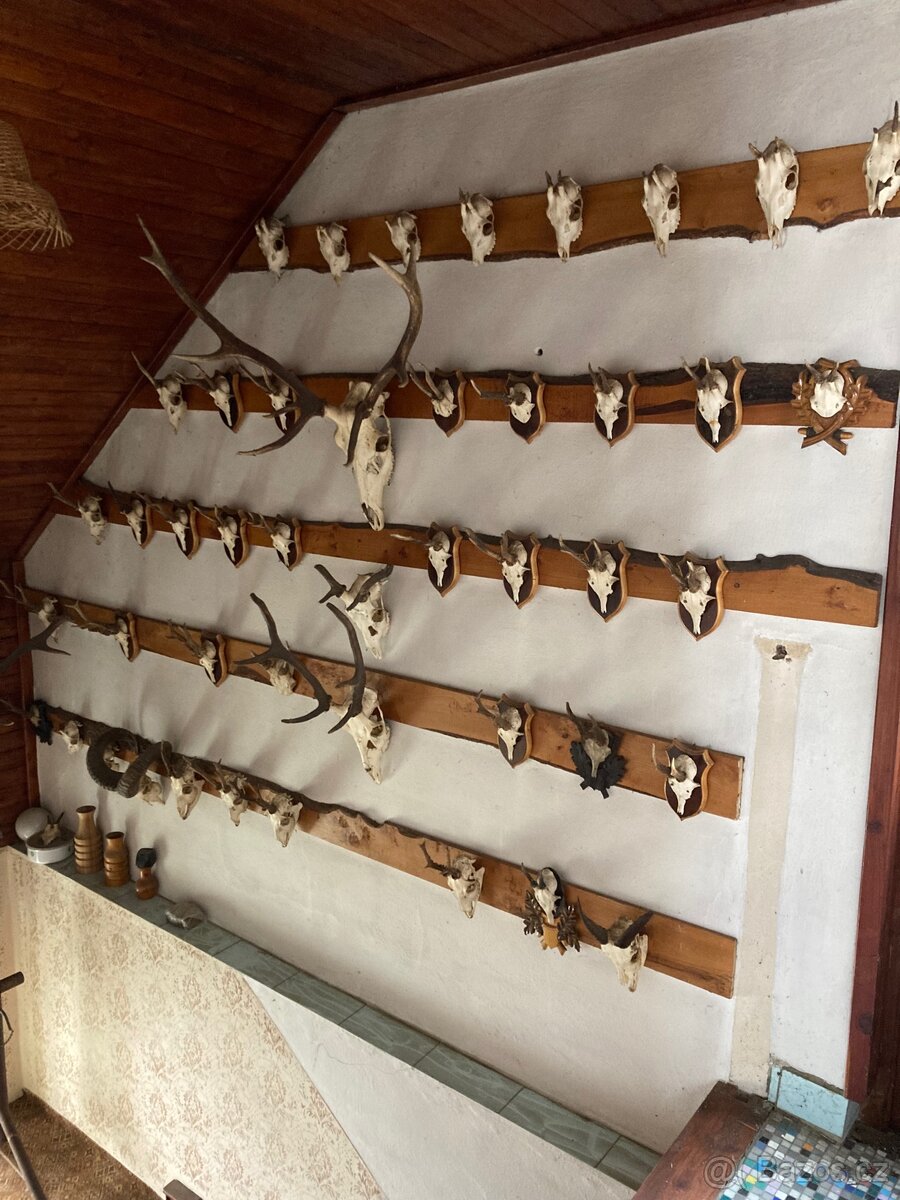 Lovecké trofeje - 2