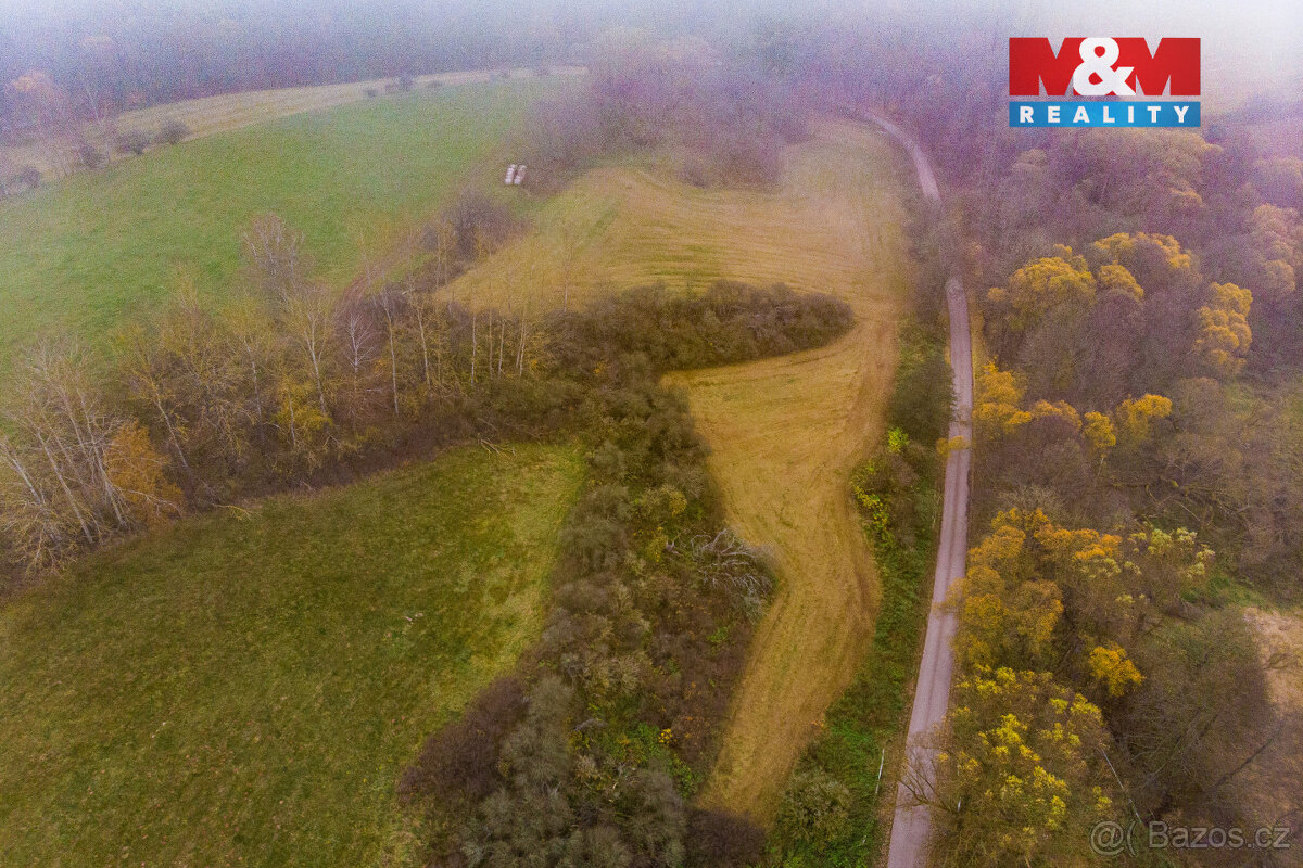 Prodej pastviny, 3357 m², Hajnice - 2