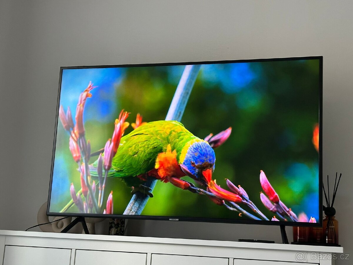 50"(127cm) Samsung TV 4K - 2