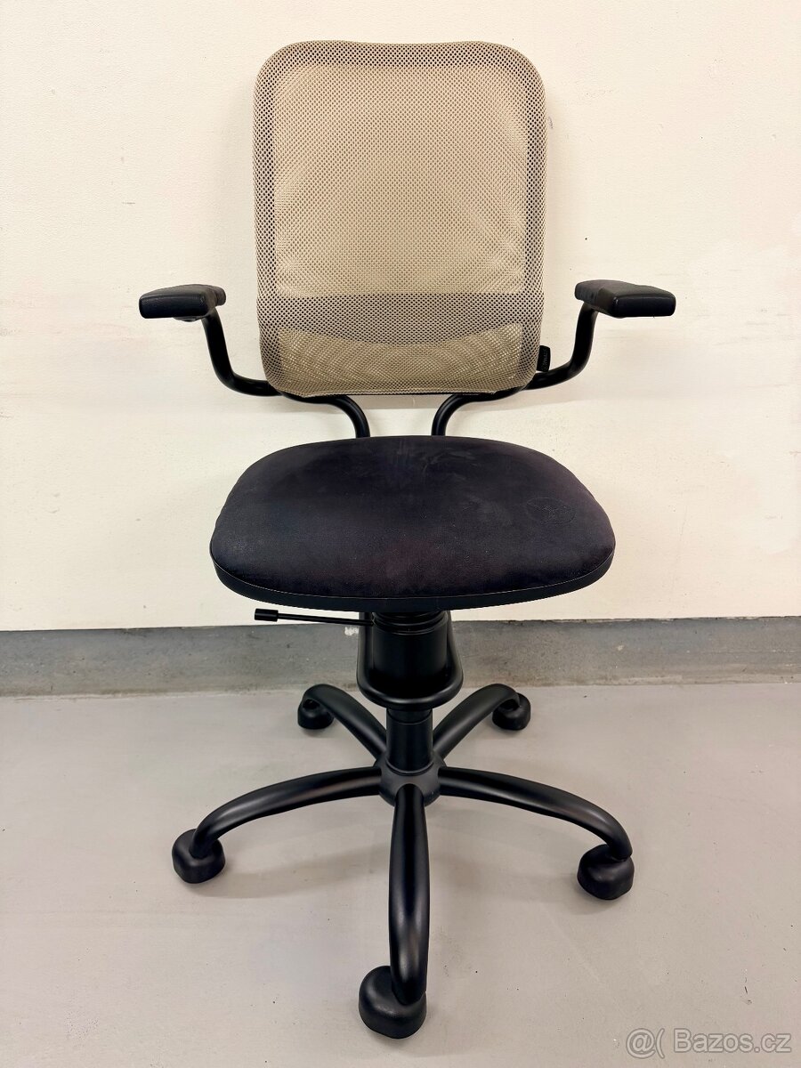 Kancelářská židle Spinalis Ergonomic - 2