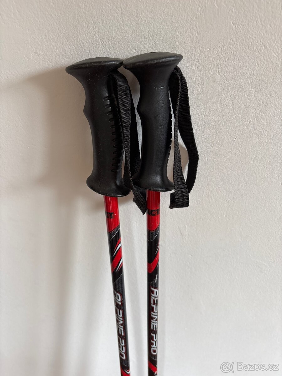 Dětské hůlky Alpine pro - 2