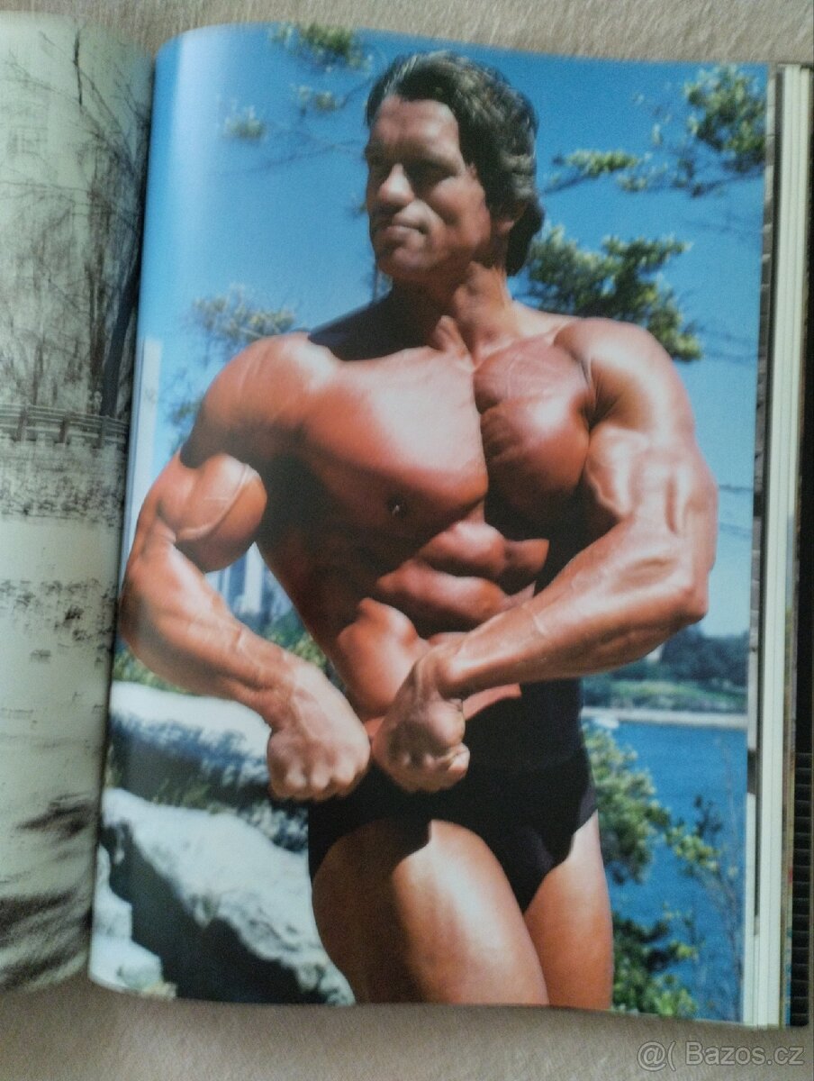 Arnold Schwarzenegger - 2