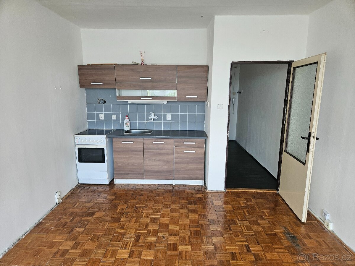 Pronájem bytu 1+kk s balkónem, Holý vrch - 2