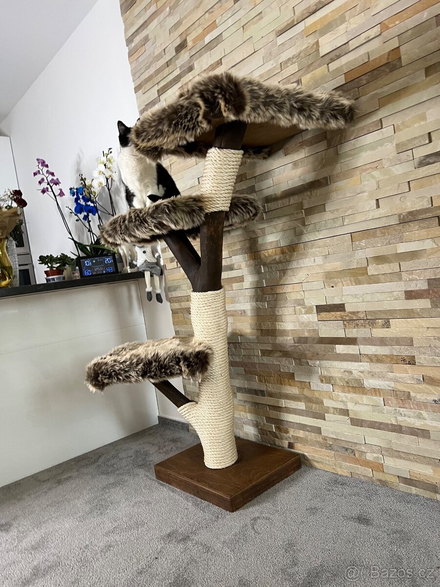 Stromy pro kočky - 2