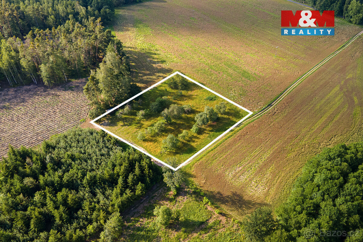 Prodej ovocného sadu v Morašicích - 2