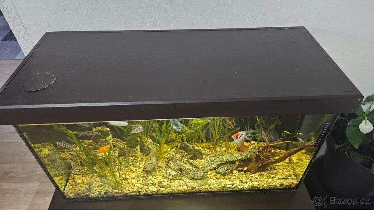 Akvárium komplet - 2