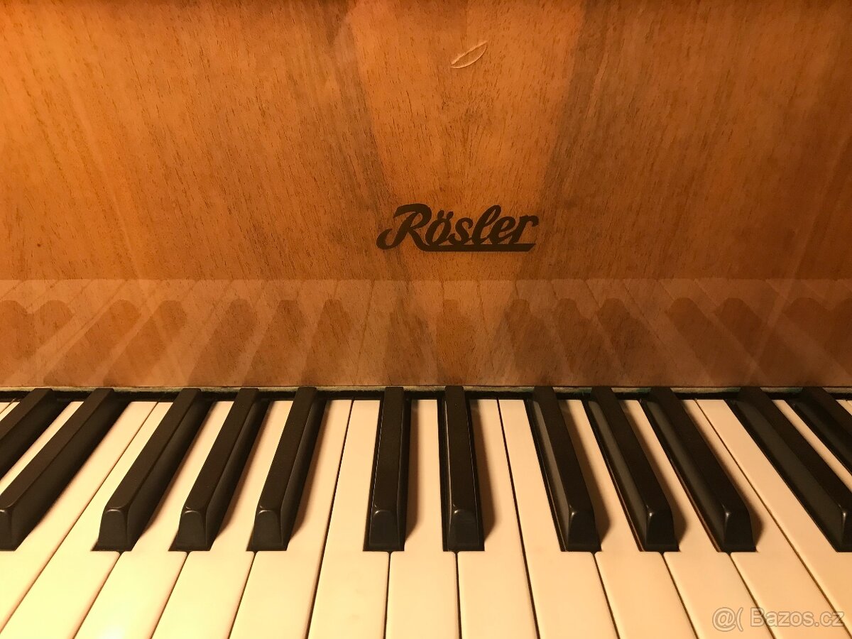 Křídlo Rösler - 2