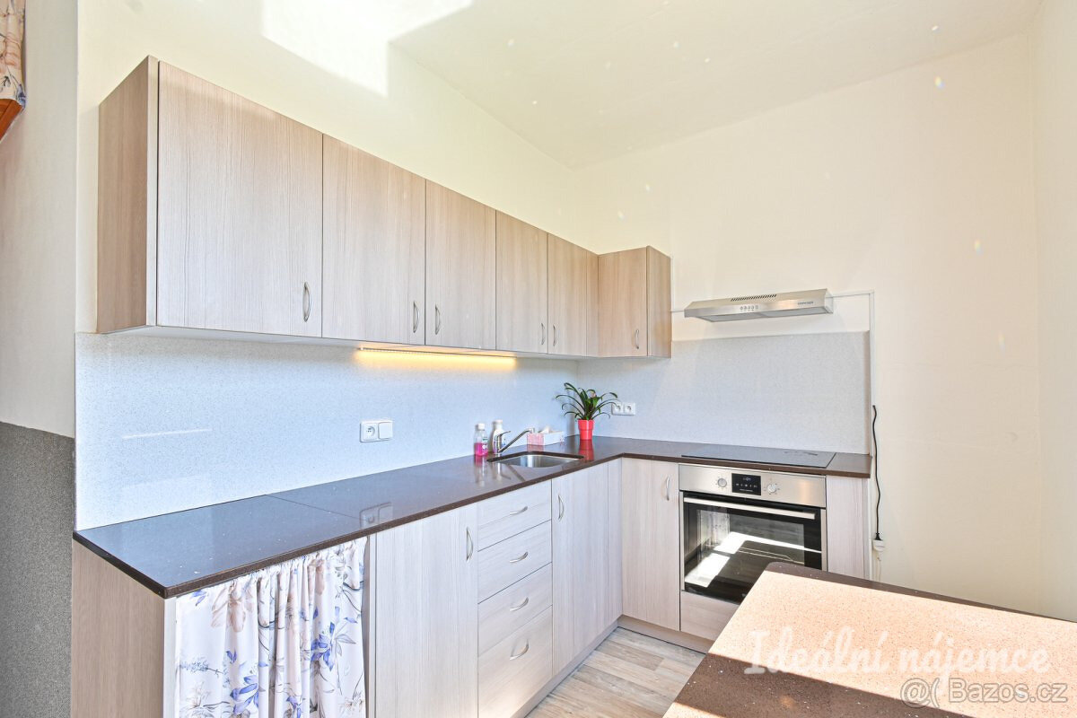 Prodej bytu 1+1 35 m² Nížkovice - 2