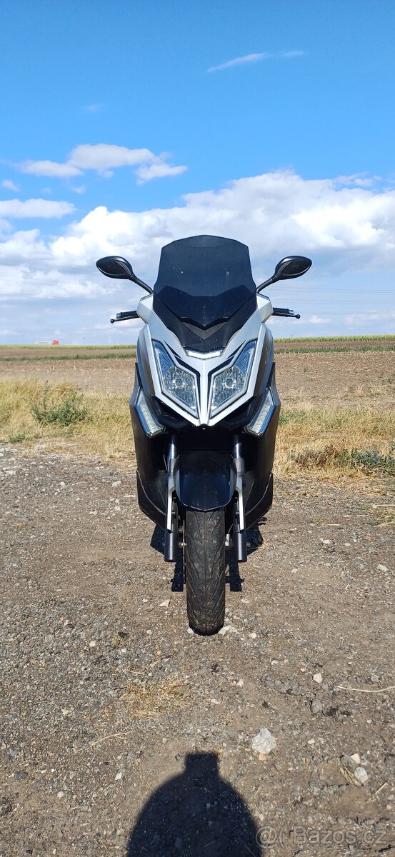 Kentoya Maximus 125 - 2