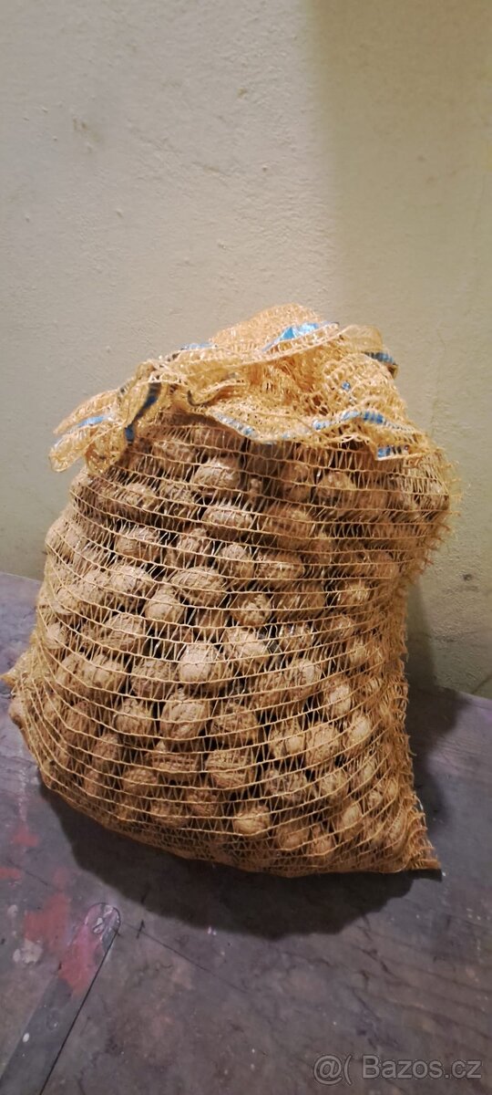 Vlašské ořechy - 2