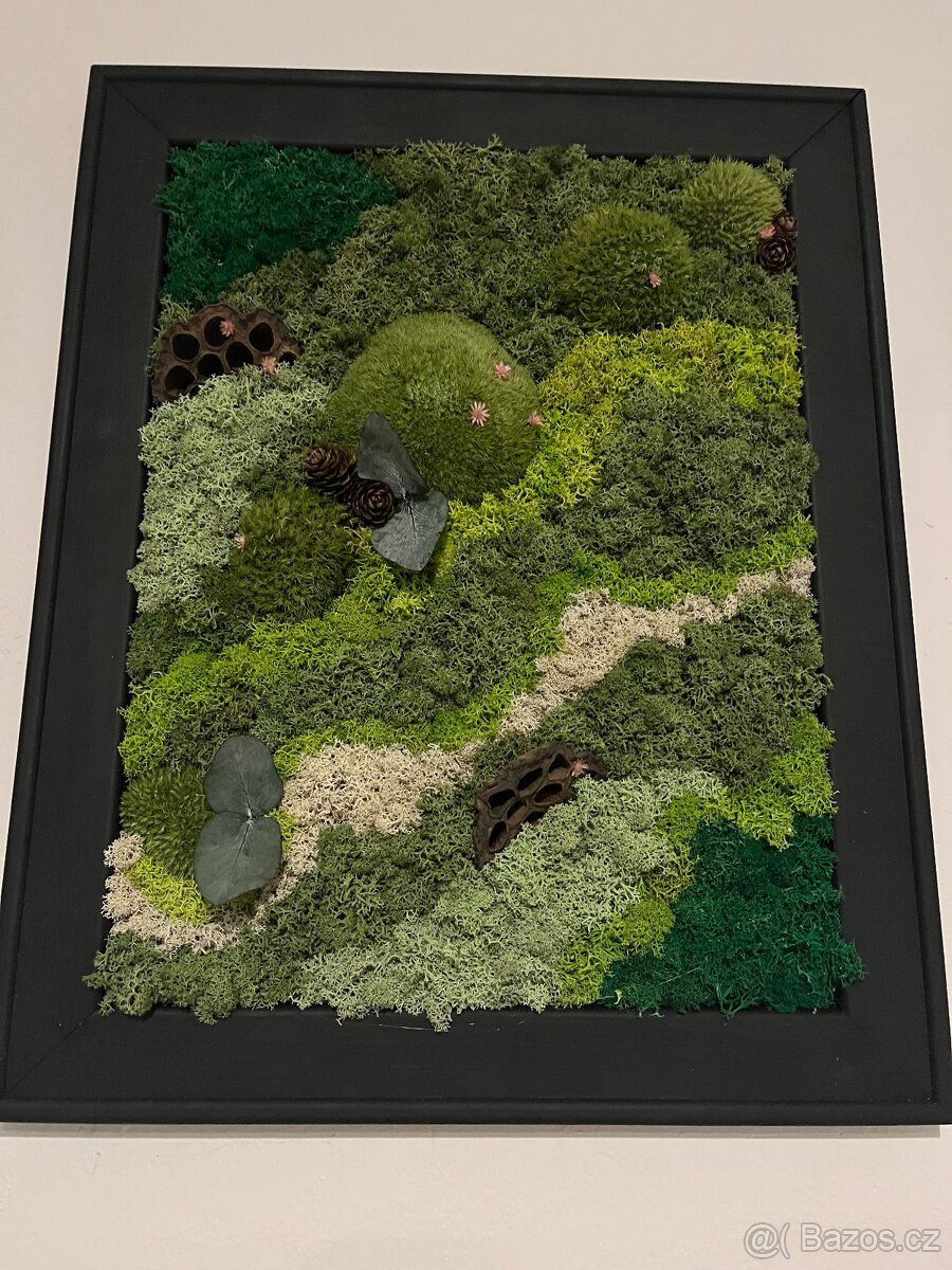 Set mechových obrazov - 2