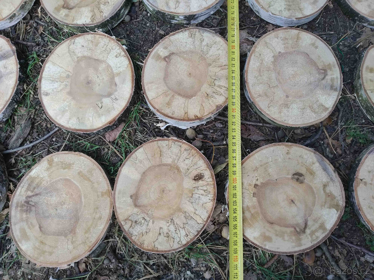 Placky bříza,kolečka a šikmé placky z břízy i jiného dřeva - 2