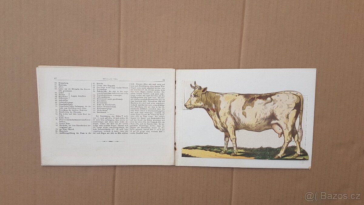 Staré německé knihy kůň a domácí dobytek - skot, - 2