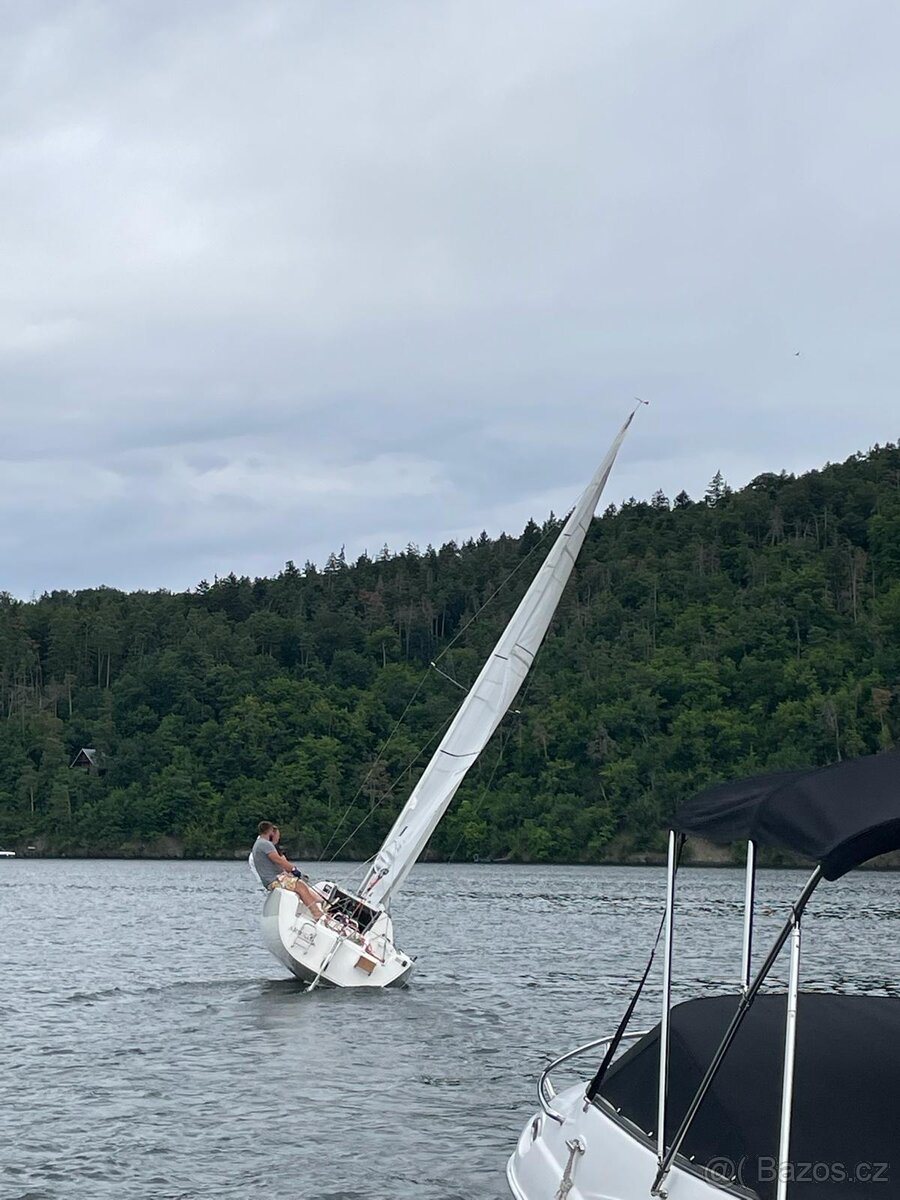 Závodní plachetnice Café 24 Regatta - 2