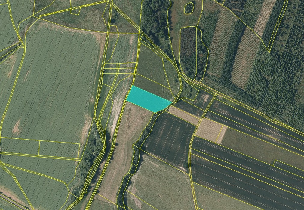 Prodej pole – 6 880 m² - Zavidov - 2
