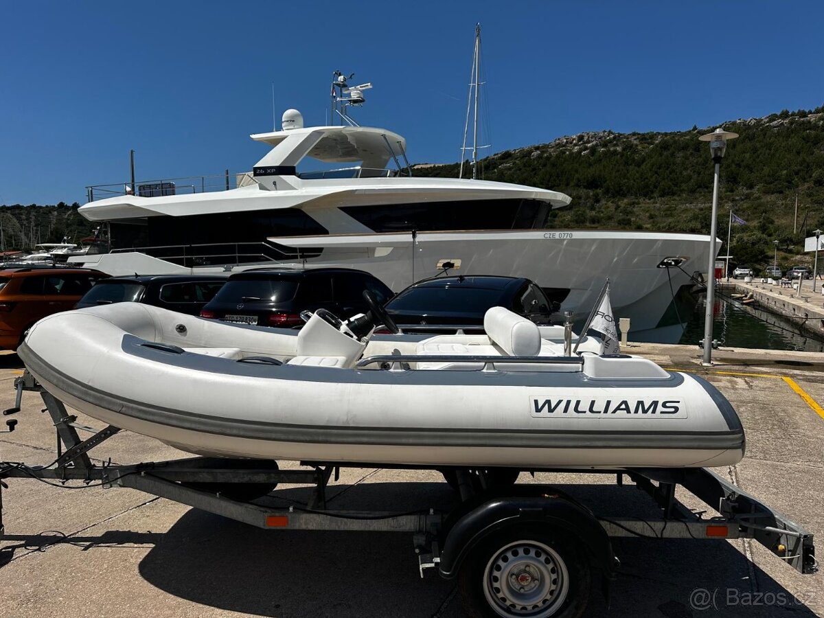WILLIAMS SPORT JET 345 - 2