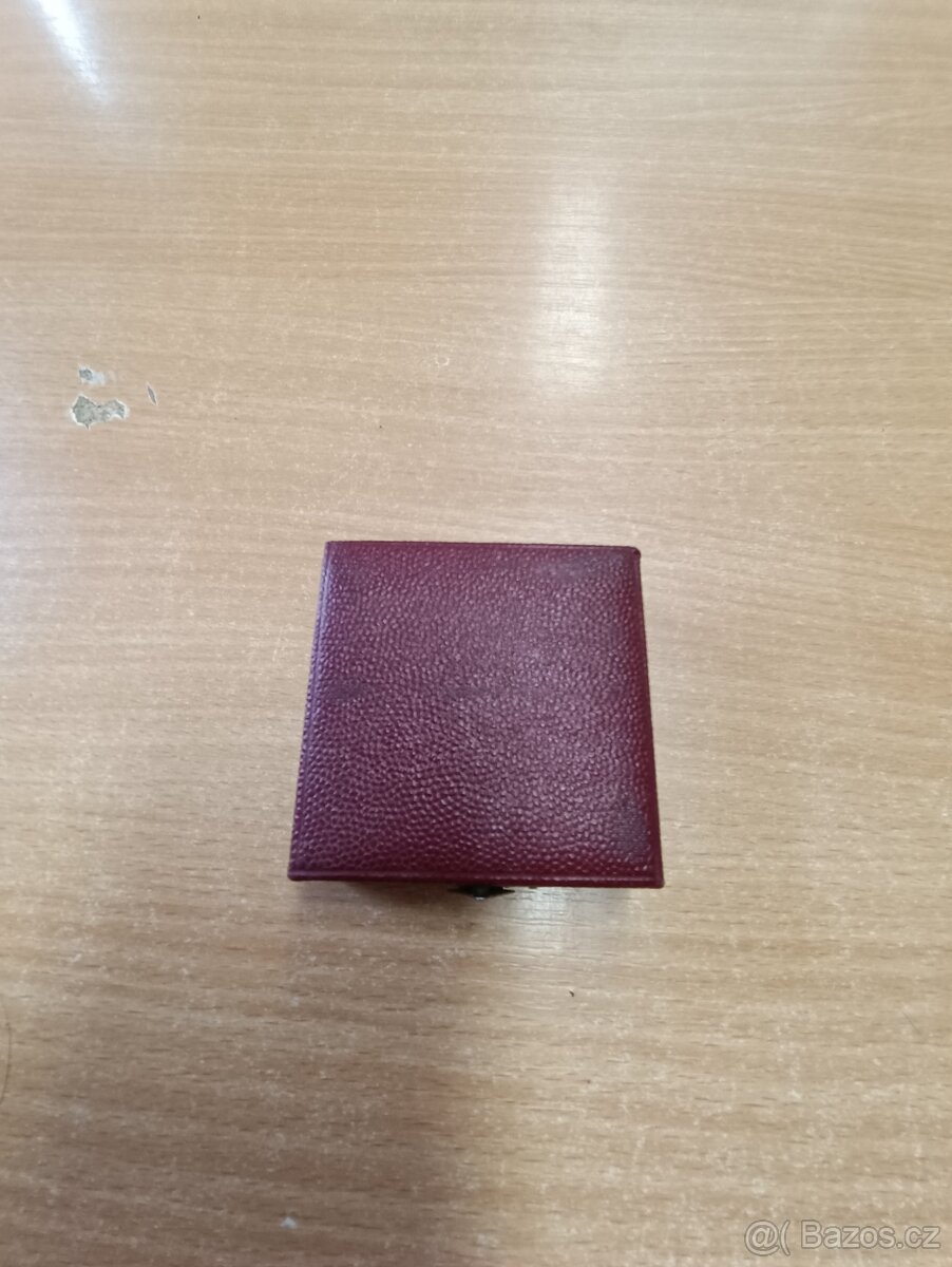 Sjezd svaz pro spolupráci s armádou odznak - 2