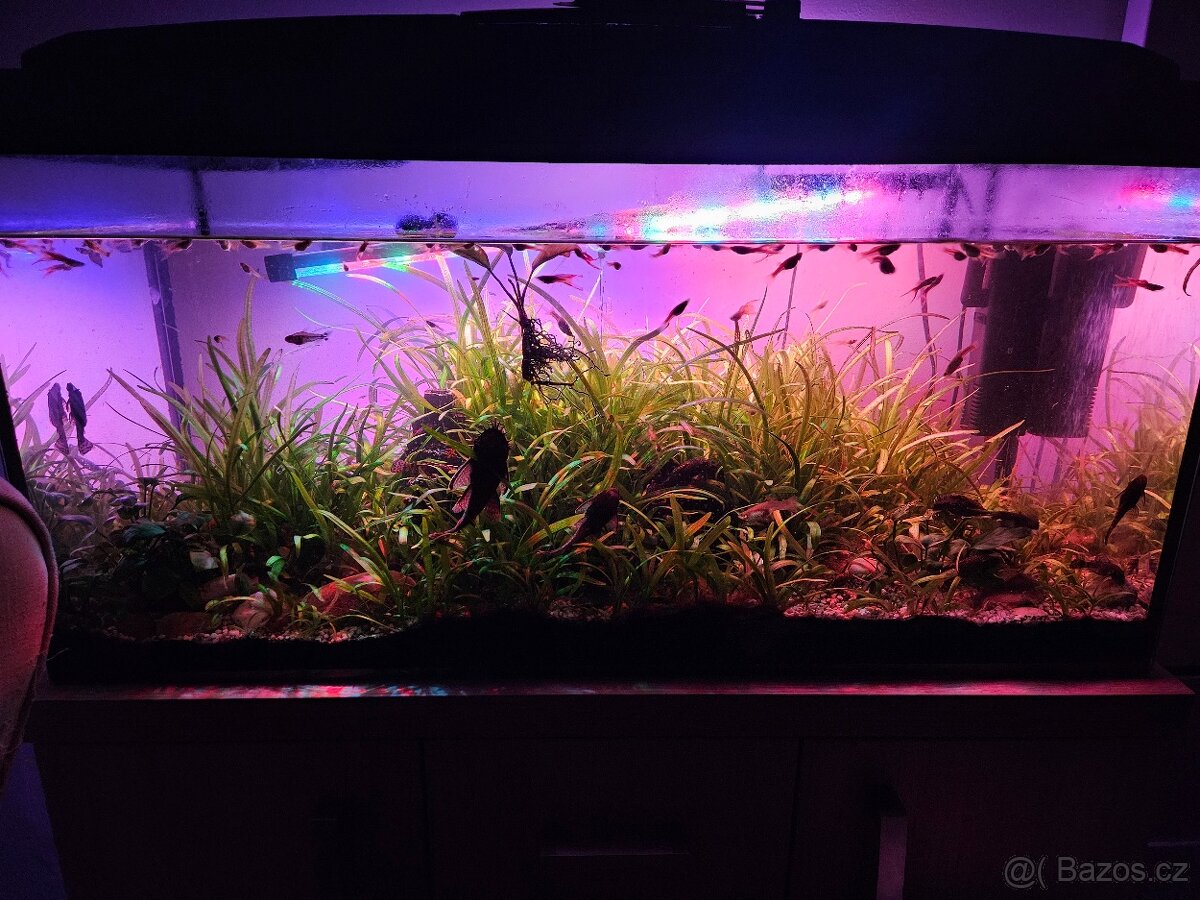 Akvárium s vybavením - 2