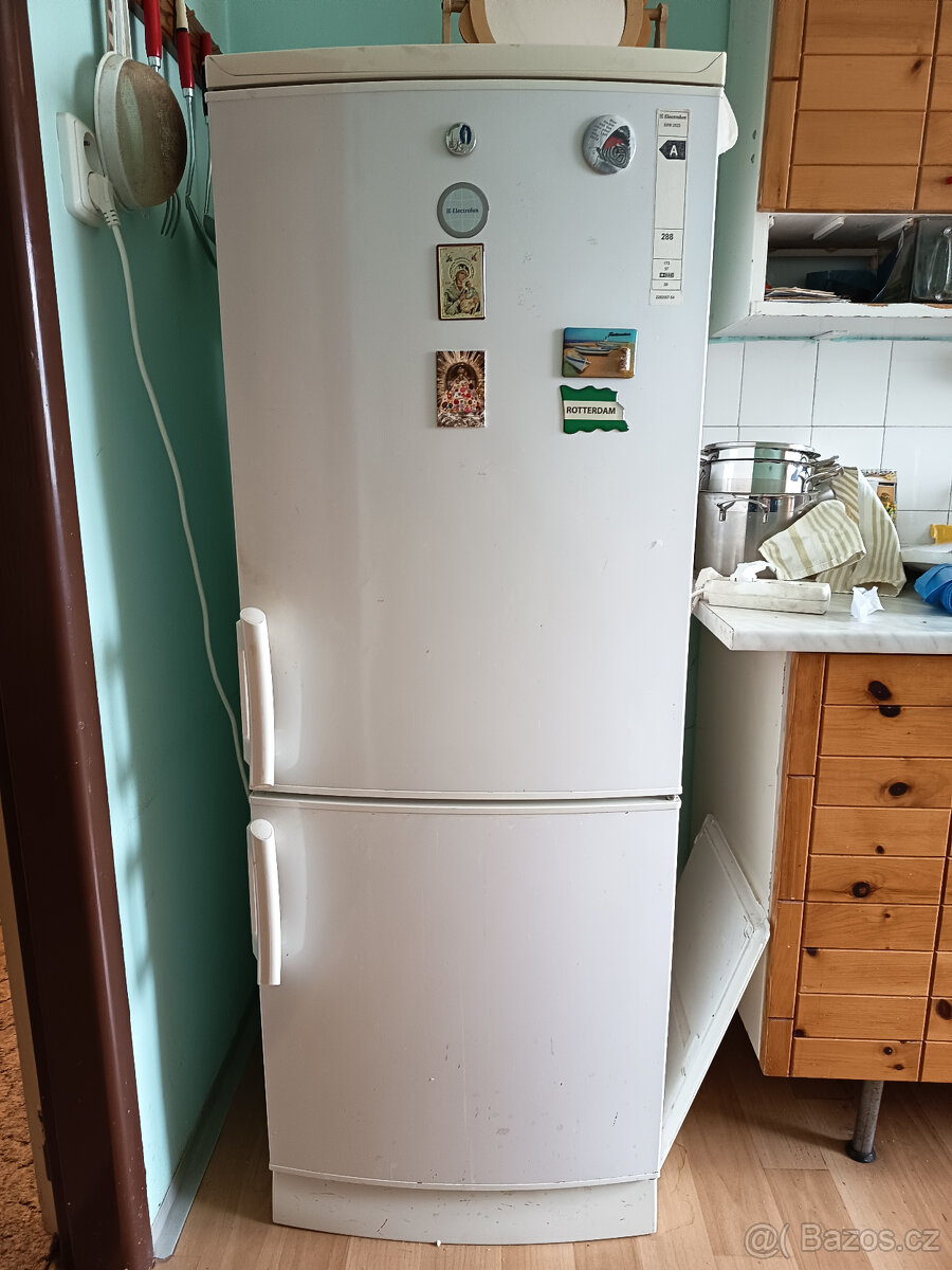 Lednice s mazákem - 2