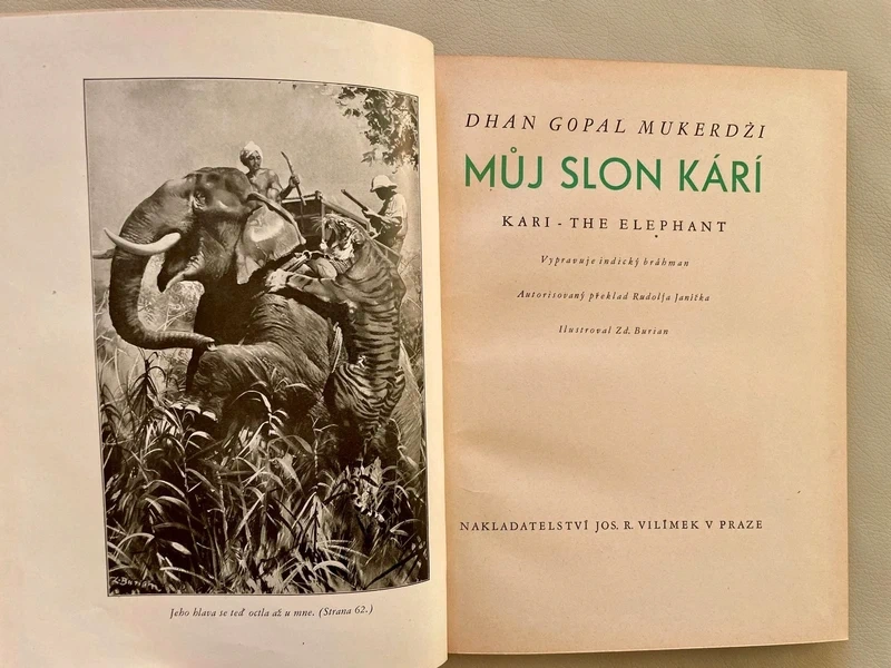 Kniha Můj slon Kárí - 2