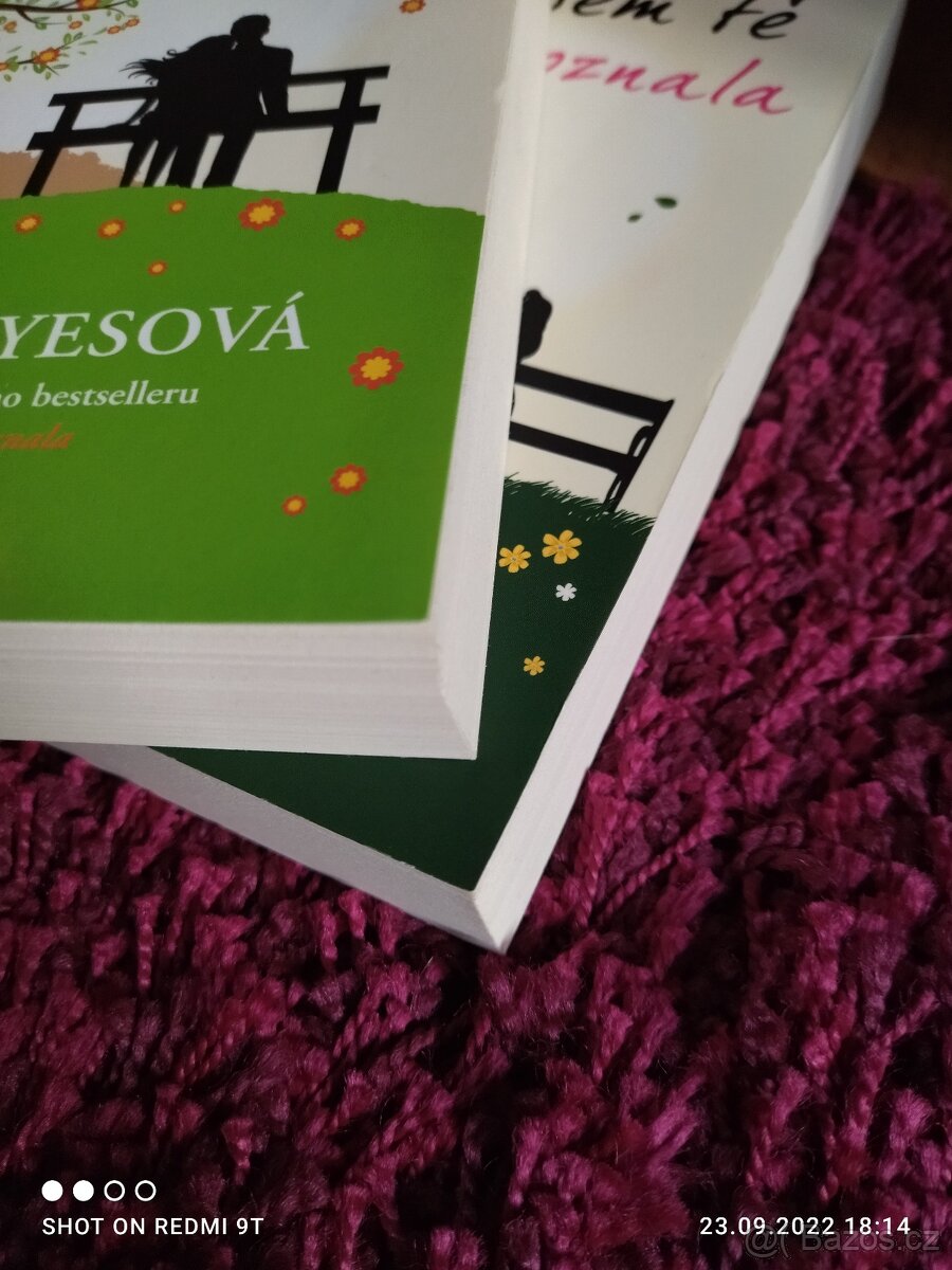 Než jsem tě poznala - 2