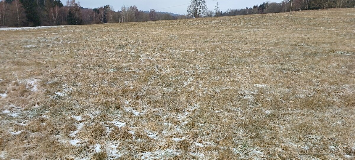 Prodám zemědělský Pozemek. - 2