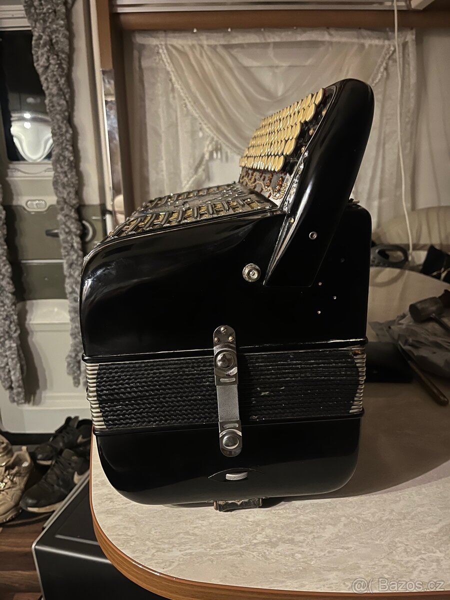 Akordeon harmonika - 2