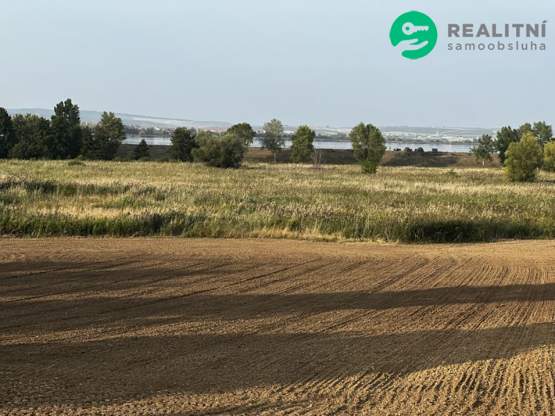 Prodej pole v Pavlově - 2