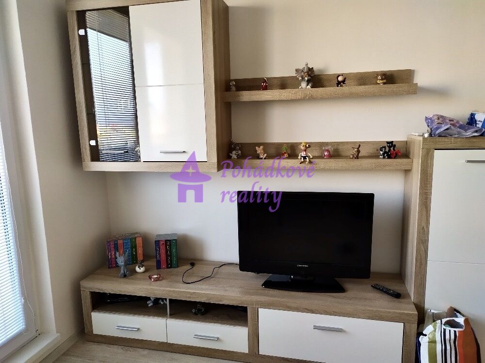 Pronájem bytu 1+1, Olomouc - ul.Hraniční - 2