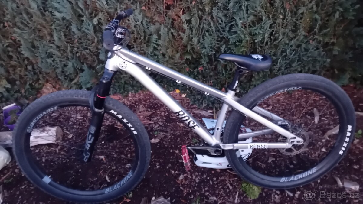 Rose The bruce 2 - 2