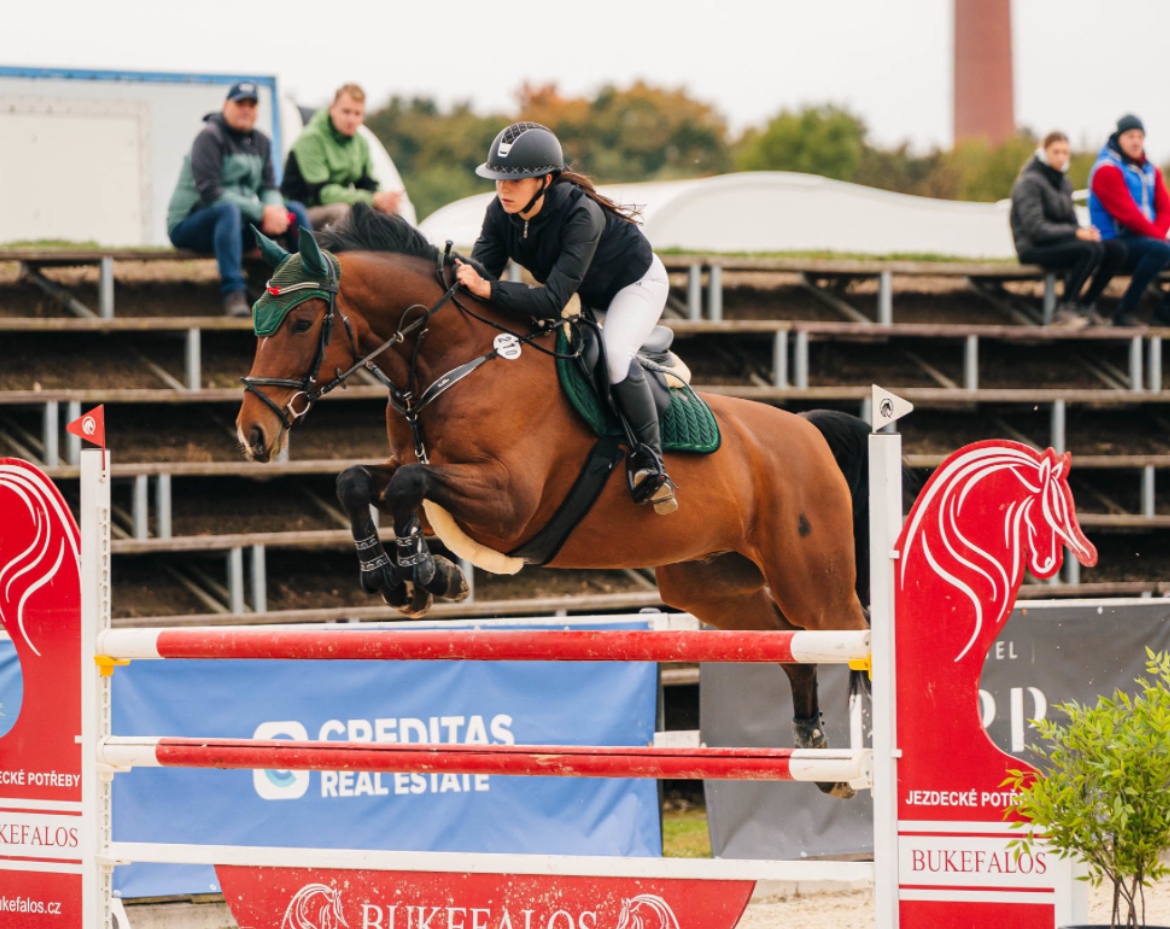 Top valach do sportu - 2