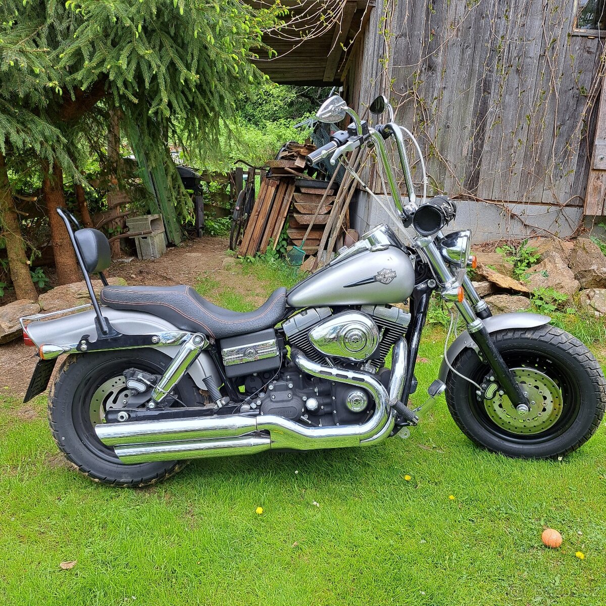 Harley fat bob - 2