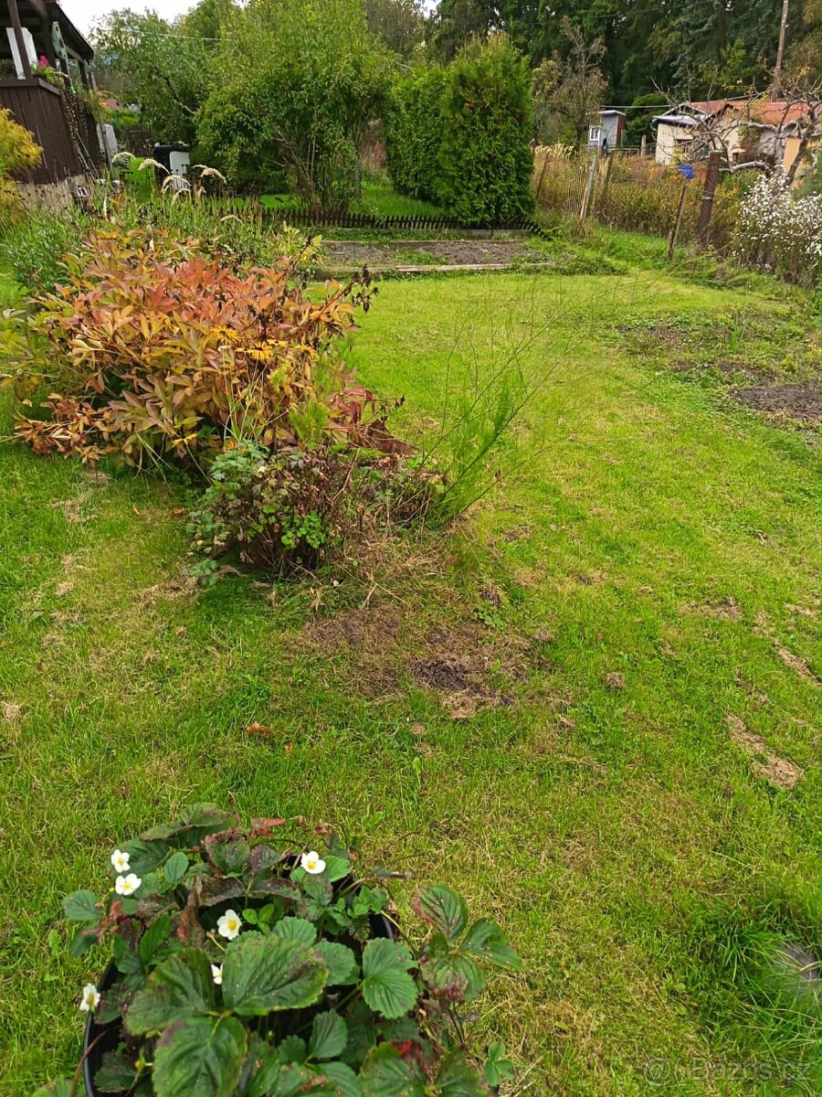 Přenechám zahradu - 2