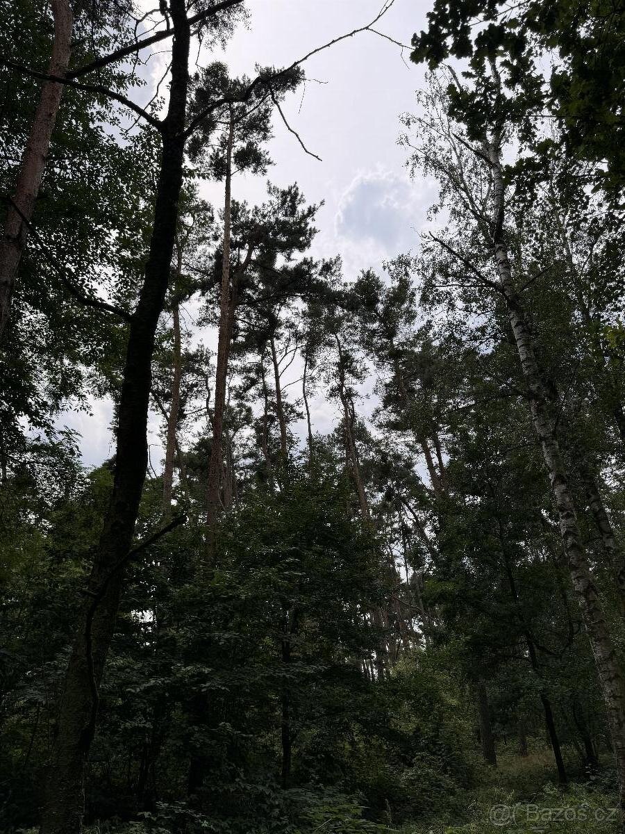 Prodám pozemky v k.ú. Kojice - 2