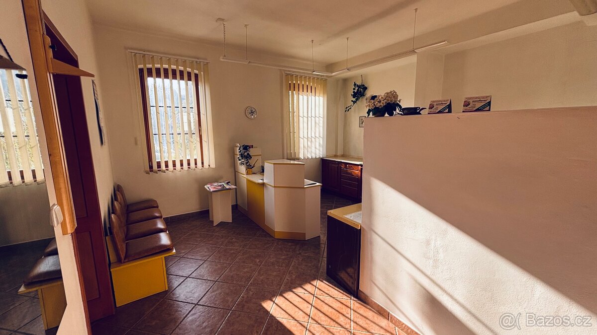 Pronájem komerčního prostoru - 2