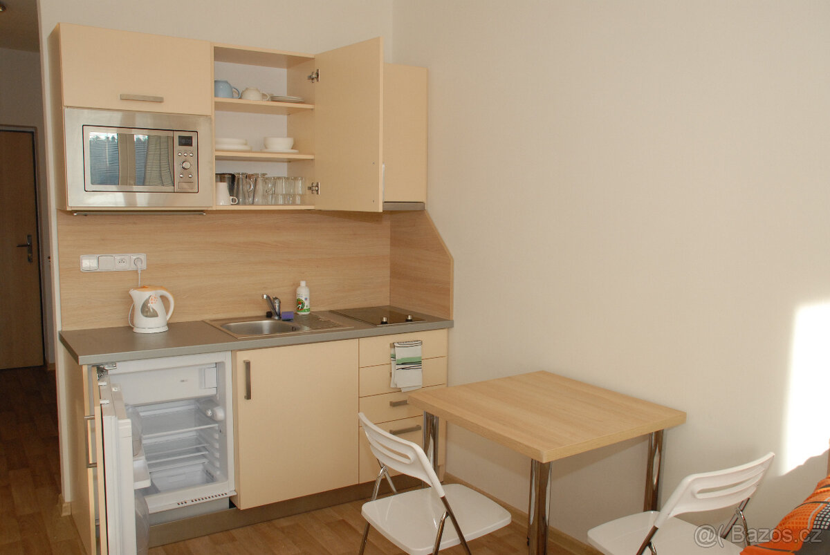 Byt/apartmán 1+kk Všemina u Slušovic - 2