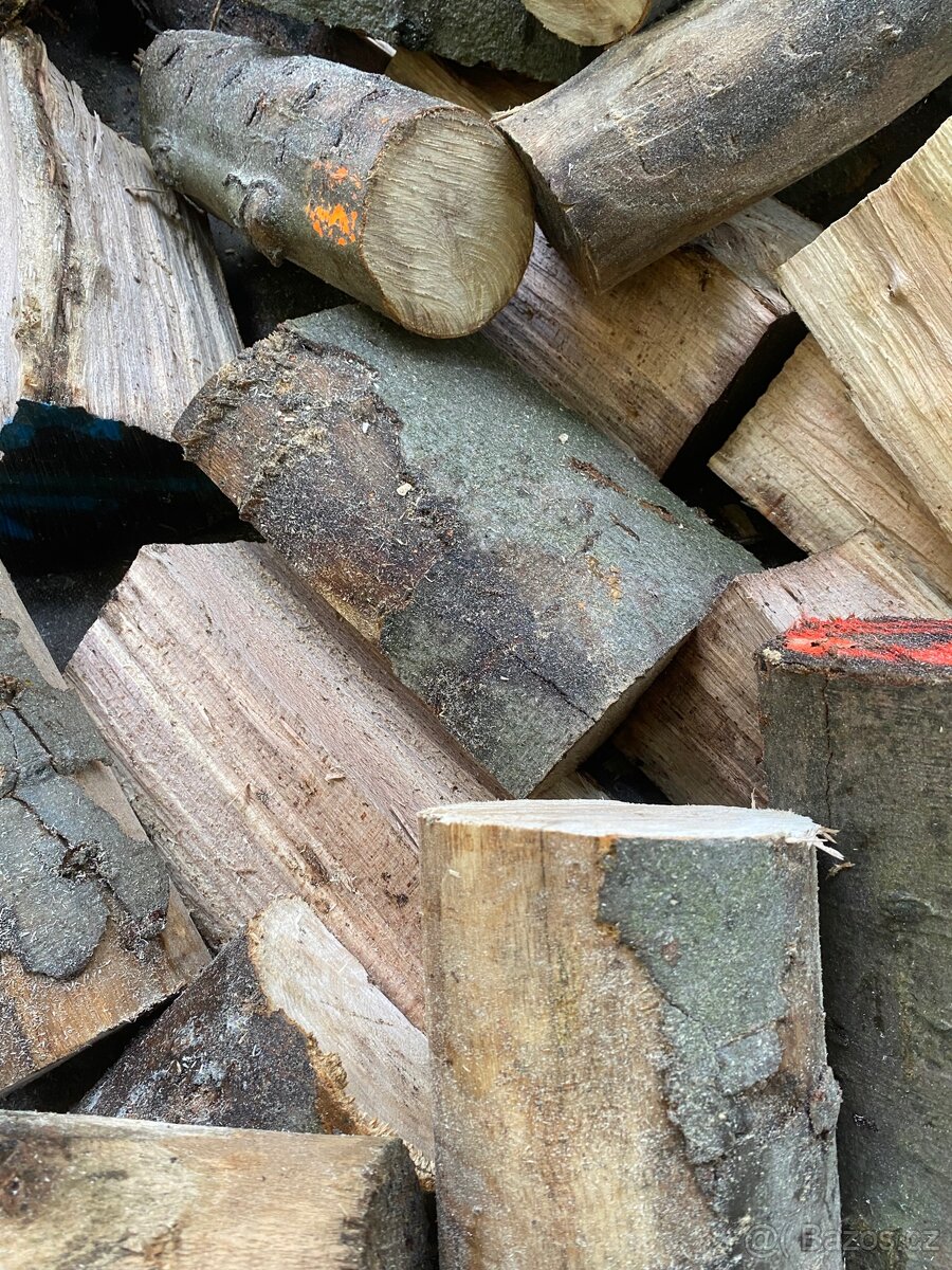 Palivové dřevo jasan buk dub - 2